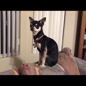 Meet your Posher, Rebecca